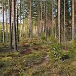 Romantic Countryside Sauna Near Paeijaenne Ferienhaus Maakeski