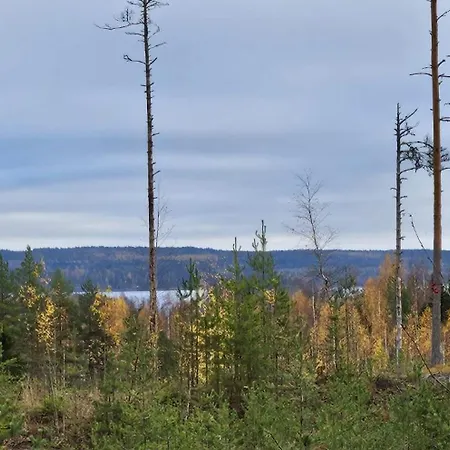 Authentic Finnish Sauna