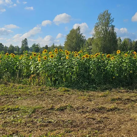 Nyaraló Authentic Finnish Sauna *