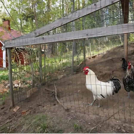 Authentic Finnish Sauna Maakeski