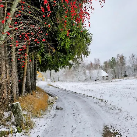 Authentic Finnish Sauna Nyaraló Maakeski