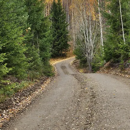 Authentic Finnish Sauna