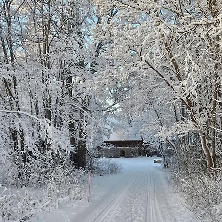 Romantic Countryside Sauna Near Päijänne Loma-asunnot *