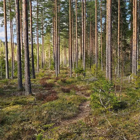 Romantic Countryside Sauna Near Päijänne Loma-asunnot Maakeski