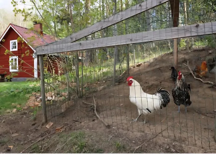 Countryside Romance In Padasjoki, Sauna Maakeski