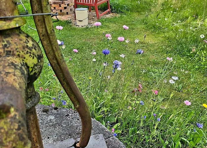 Countryside Romance In Padasjoki, Sauna *