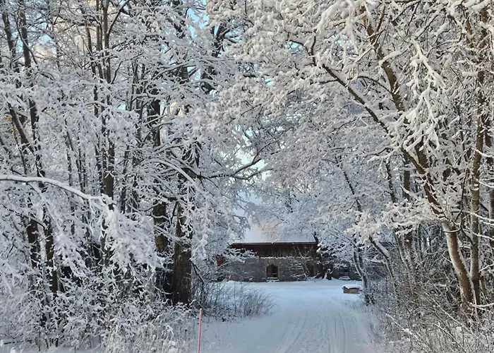 Countryside Romance In Padasjoki, Sauna 度假居 *
