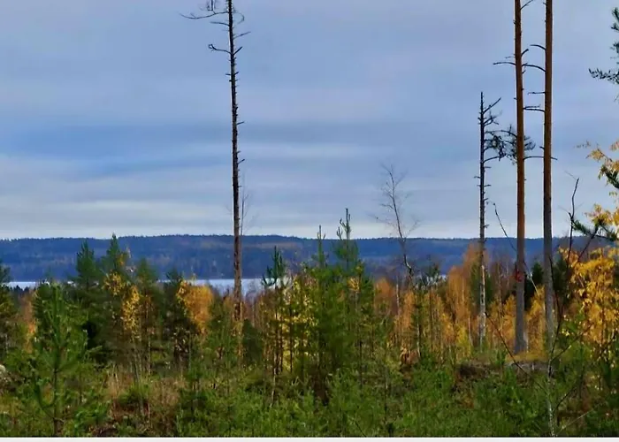 度假居 Countryside Romance In Padasjoki, Sauna Maakeski