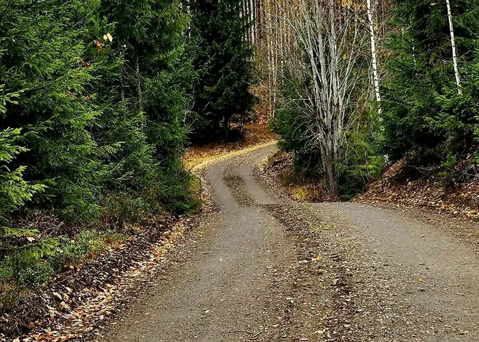 度假居 Countryside Romance In Padasjoki, Sauna